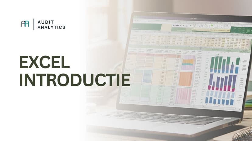 Excel in de audit