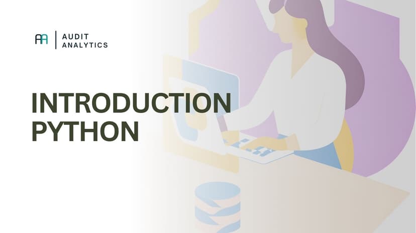 Python in Audit
