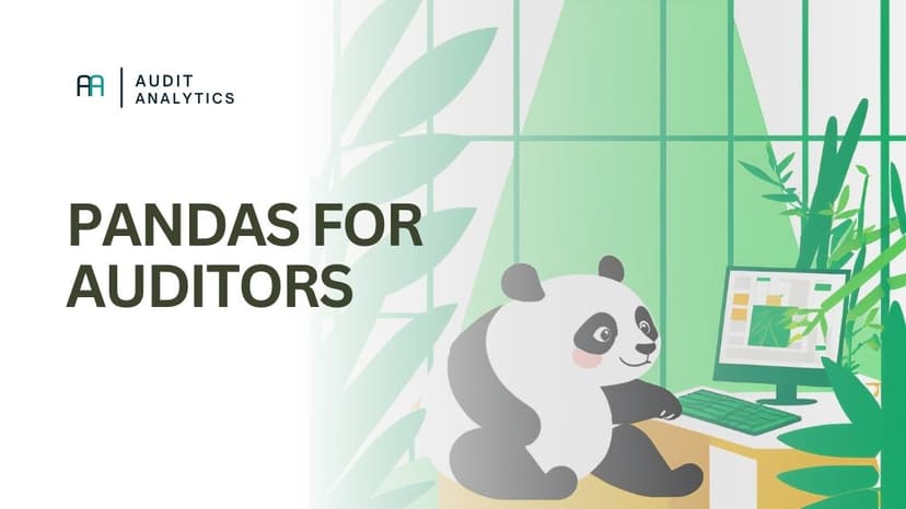 Pandas for Auditors