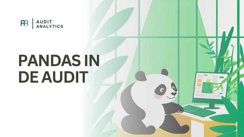 Pandas voor auditors