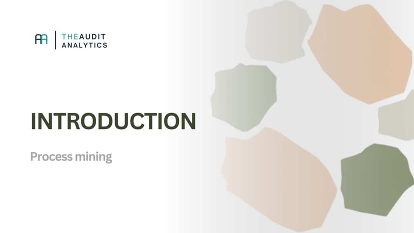 Process Mining & the Audit: An Introduction