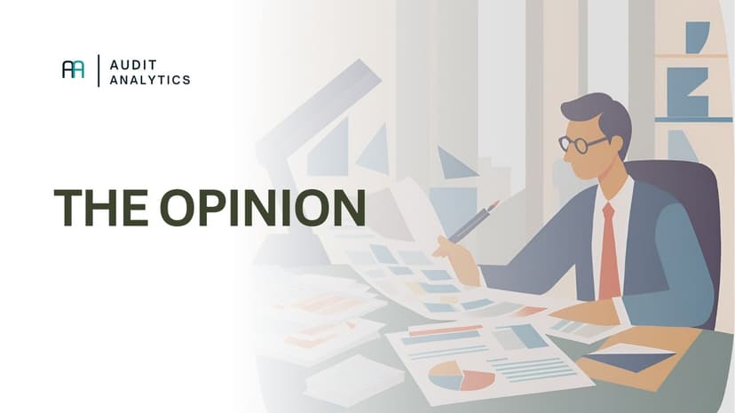 Understanding Audit Opinions