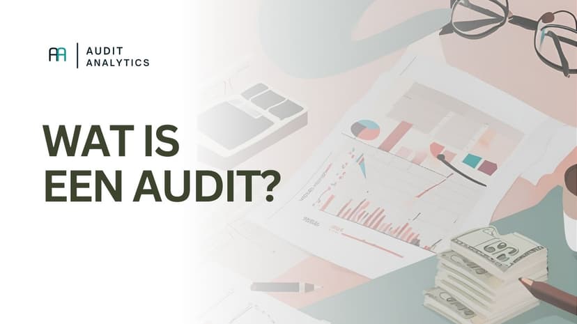 Wat is een audit?