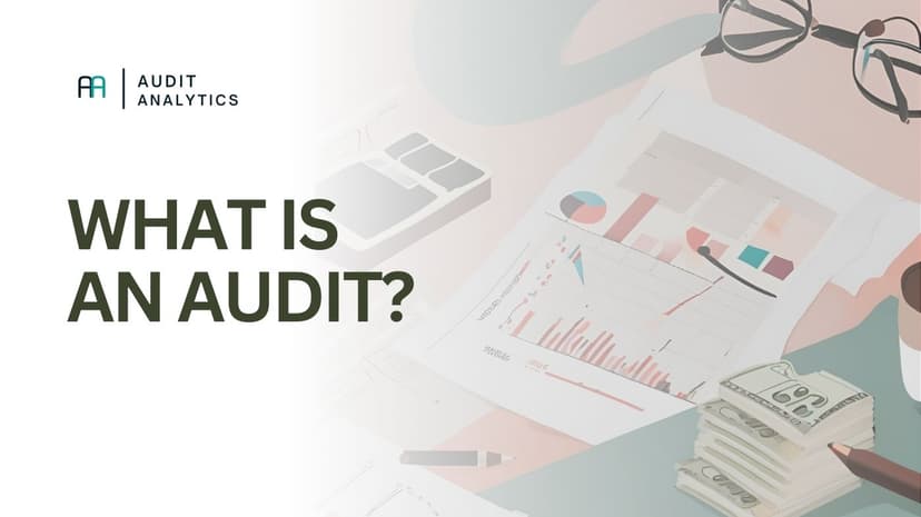 What is an Audit?