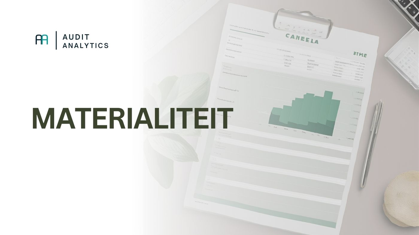 Wat is een audit?